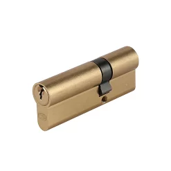 Castorama Cylindre Laiton Smith & Locke 30 X 50 Mm